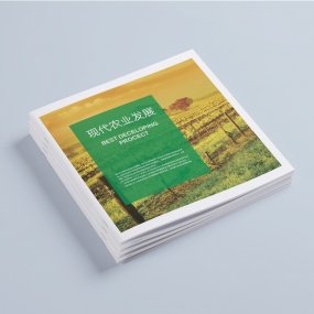 專版畫冊(cè)